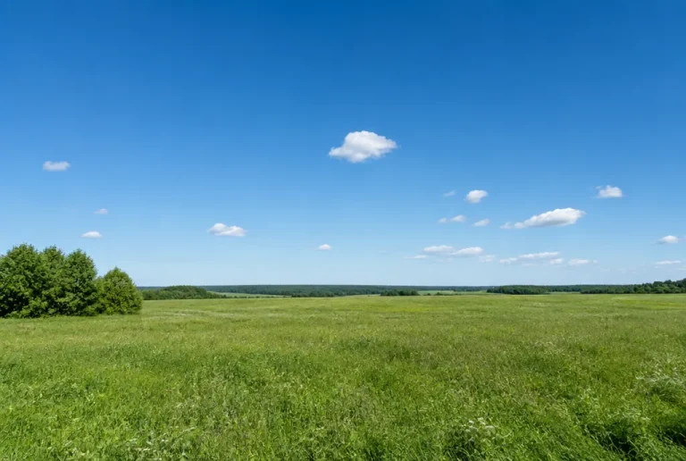 Why Is the Sky Blue?